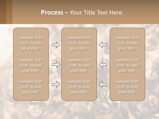A Bunch Of Flowers That Are In A Vase PowerPoint Template