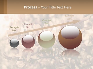 A Bunch Of Flowers That Are In A Vase PowerPoint Template
