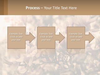 A Bunch Of Flowers That Are In A Vase PowerPoint Template
