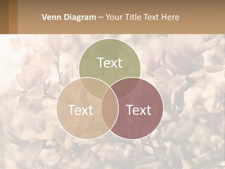 A Bunch Of Flowers That Are In A Vase PowerPoint Template