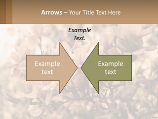 A Bunch Of Flowers That Are In A Vase PowerPoint Template