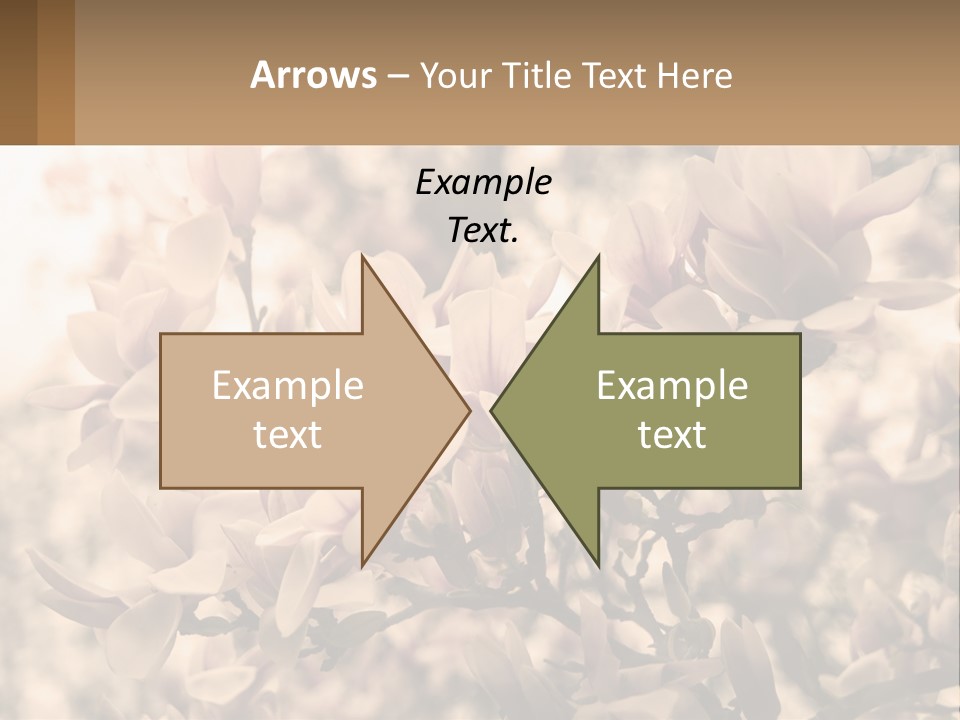 A Bunch Of Flowers That Are In A Vase PowerPoint Template