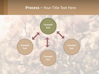 A Bunch Of Flowers That Are In A Vase PowerPoint Template