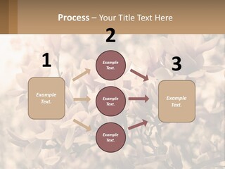 A Bunch Of Flowers That Are In A Vase PowerPoint Template