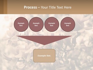 A Bunch Of Flowers That Are In A Vase PowerPoint Template