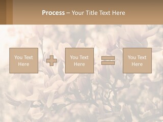 A Bunch Of Flowers That Are In A Vase PowerPoint Template
