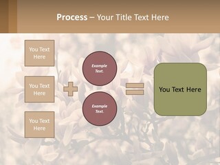 A Bunch Of Flowers That Are In A Vase PowerPoint Template