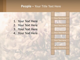 A Bunch Of Flowers That Are In A Vase PowerPoint Template