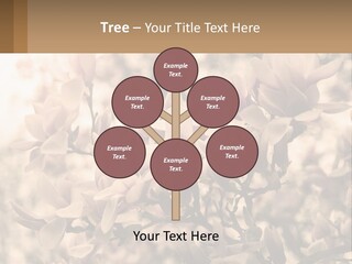 A Bunch Of Flowers That Are In A Vase PowerPoint Template