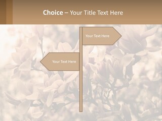 A Bunch Of Flowers That Are In A Vase PowerPoint Template
