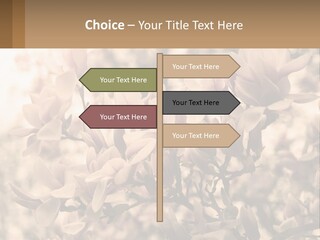A Bunch Of Flowers That Are In A Vase PowerPoint Template