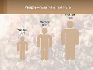 A Bunch Of Flowers That Are In A Vase PowerPoint Template