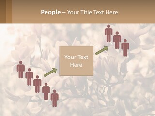 A Bunch Of Flowers That Are In A Vase PowerPoint Template