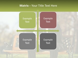 A Man In A Graduation Gown Sitting On A Bench PowerPoint Template