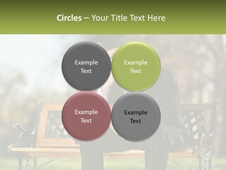 A Man In A Graduation Gown Sitting On A Bench PowerPoint Template