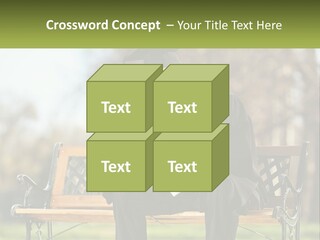 A Man In A Graduation Gown Sitting On A Bench PowerPoint Template