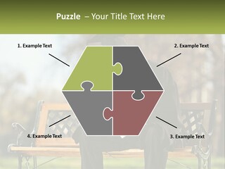 A Man In A Graduation Gown Sitting On A Bench PowerPoint Template