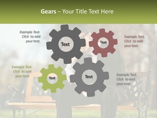 A Man In A Graduation Gown Sitting On A Bench PowerPoint Template