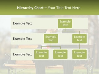 A Man In A Graduation Gown Sitting On A Bench PowerPoint Template