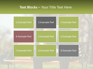 A Man In A Graduation Gown Sitting On A Bench PowerPoint Template