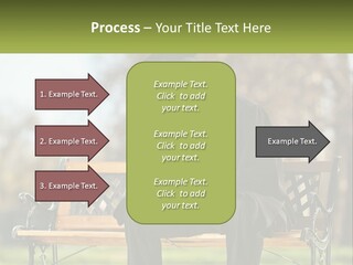 A Man In A Graduation Gown Sitting On A Bench PowerPoint Template