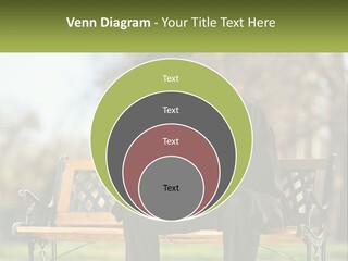 A Man In A Graduation Gown Sitting On A Bench PowerPoint Template