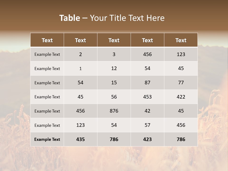 A Woman In A Field Of Wheat With A Flower In Her Hair PowerPoint Template