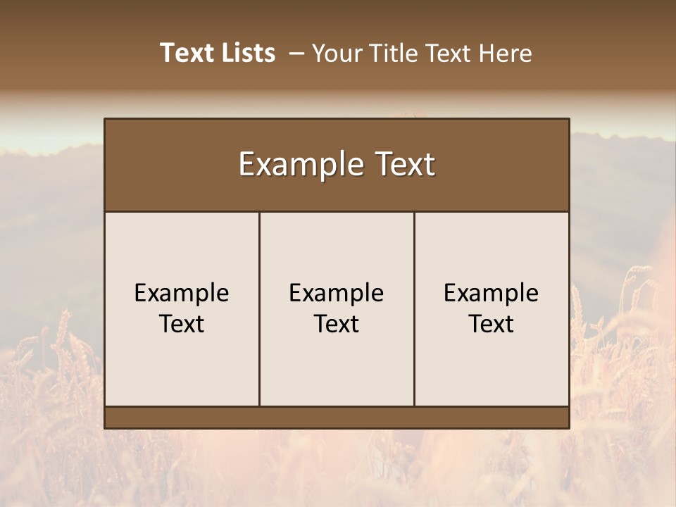 A Woman In A Field Of Wheat With A Flower In Her Hair PowerPoint Template