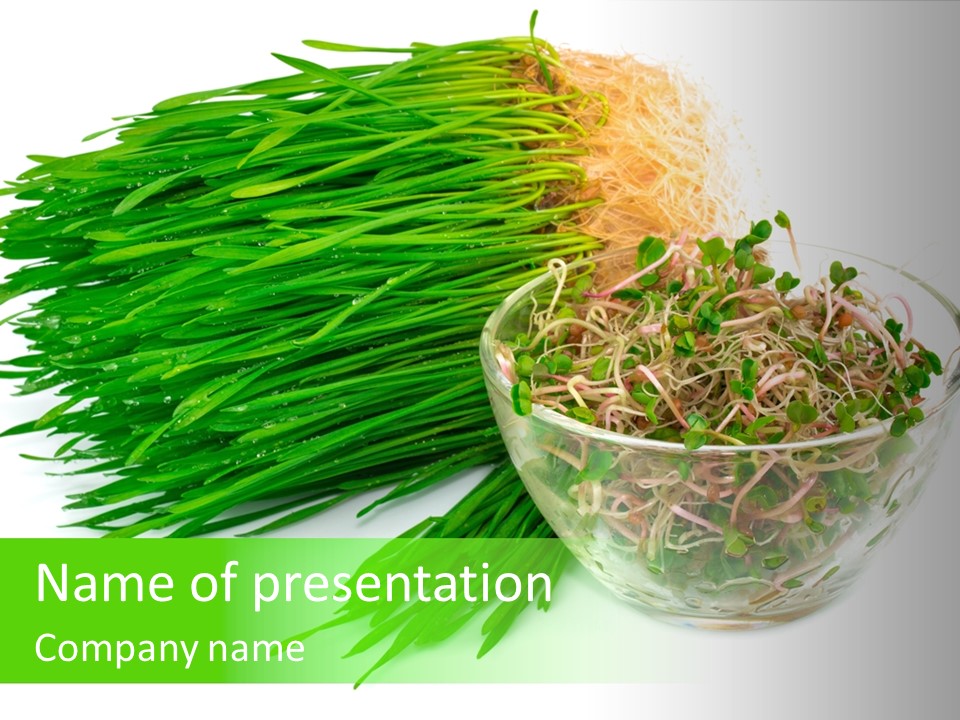 A Bowl Of Sprouts And A Bowl Of Sprouts On A White PowerPoint Template