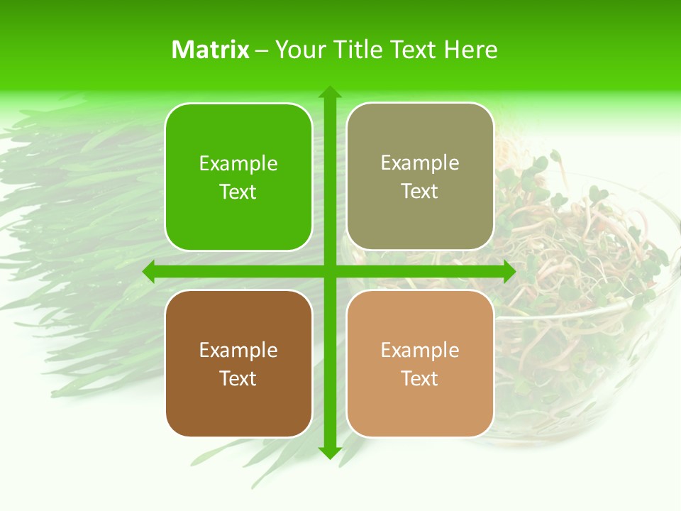 A Bowl Of Sprouts And A Bowl Of Sprouts On A White PowerPoint Template