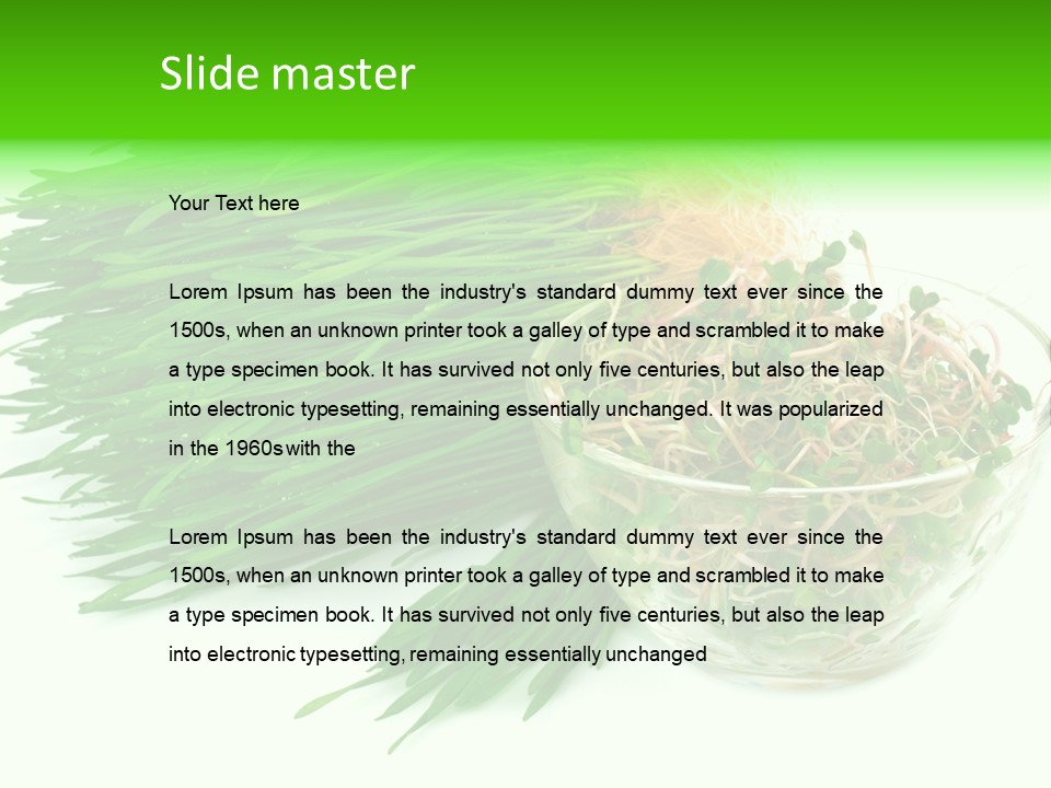 A Bowl Of Sprouts And A Bowl Of Sprouts On A White PowerPoint Template