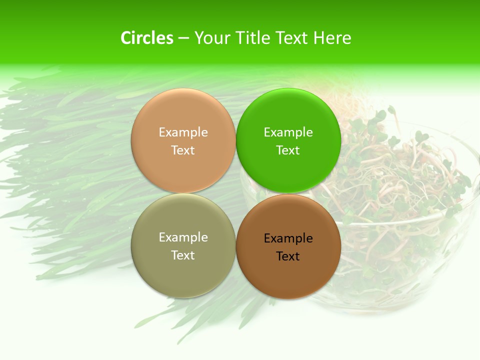 A Bowl Of Sprouts And A Bowl Of Sprouts On A White PowerPoint Template