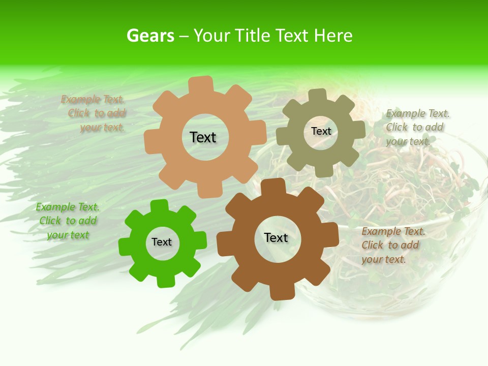 A Bowl Of Sprouts And A Bowl Of Sprouts On A White PowerPoint Template