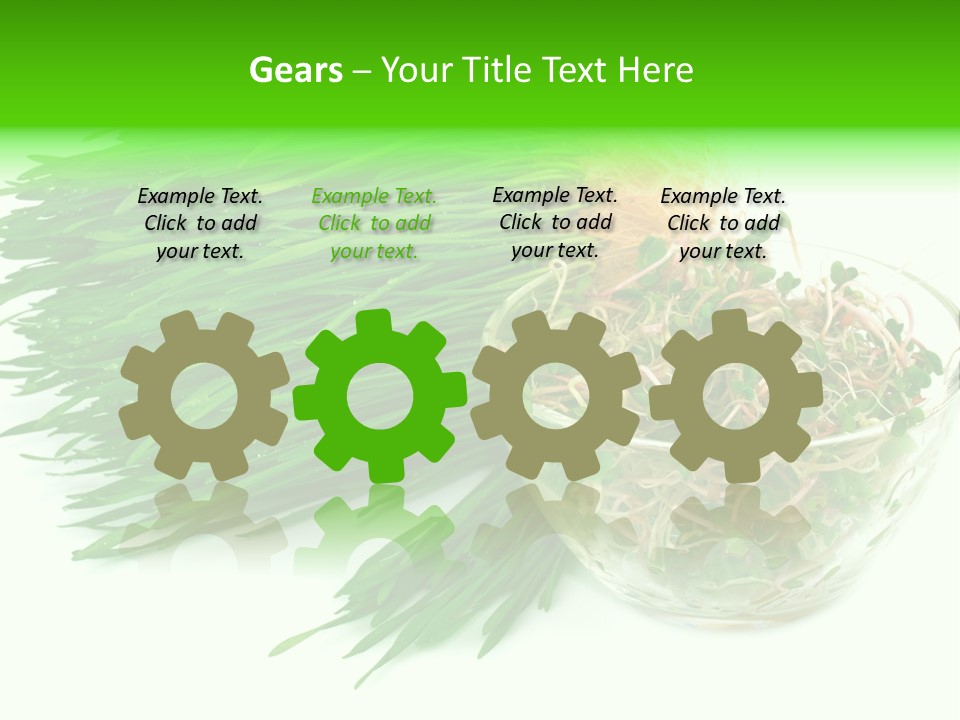 A Bowl Of Sprouts And A Bowl Of Sprouts On A White PowerPoint Template