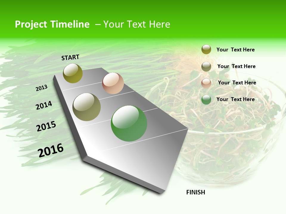 A Bowl Of Sprouts And A Bowl Of Sprouts On A White PowerPoint Template