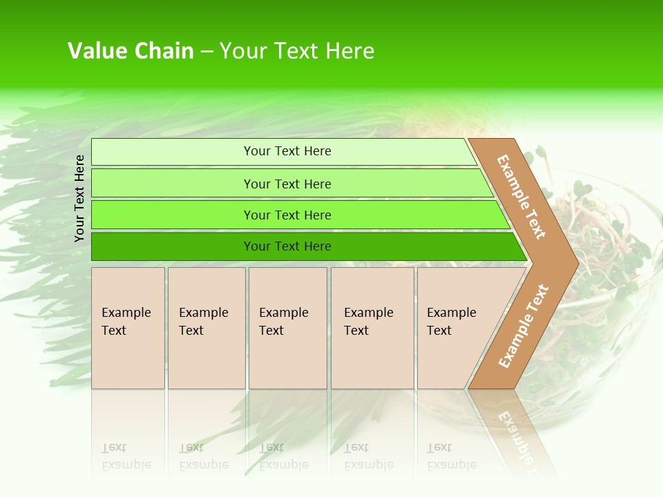A Bowl Of Sprouts And A Bowl Of Sprouts On A White PowerPoint Template