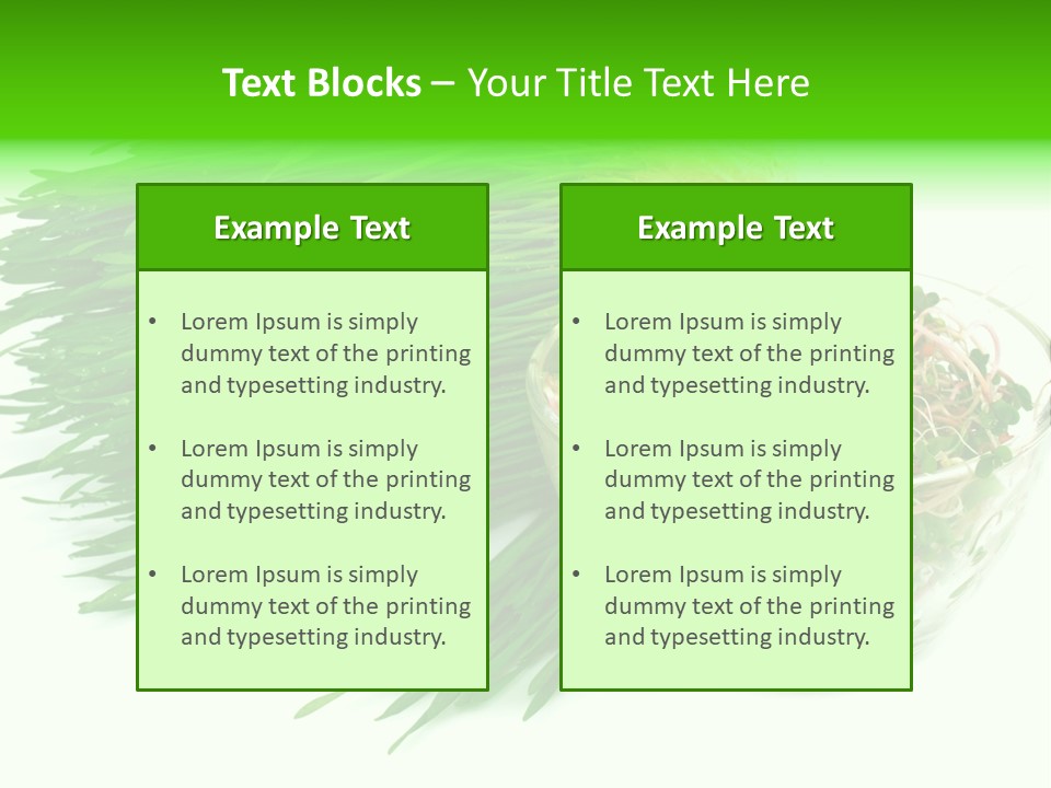 A Bowl Of Sprouts And A Bowl Of Sprouts On A White PowerPoint Template