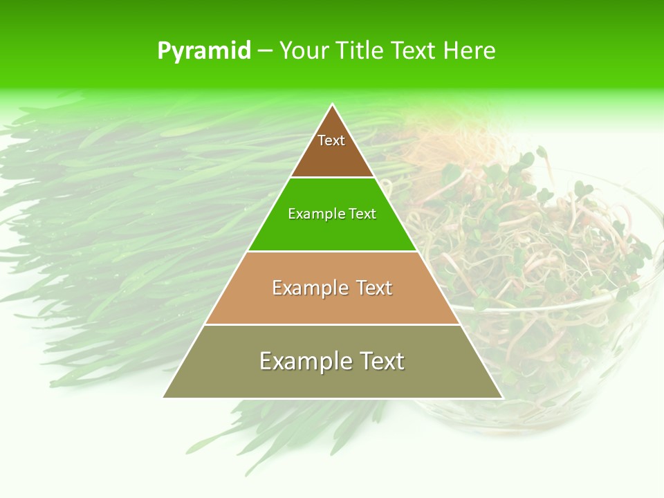 A Bowl Of Sprouts And A Bowl Of Sprouts On A White PowerPoint Template