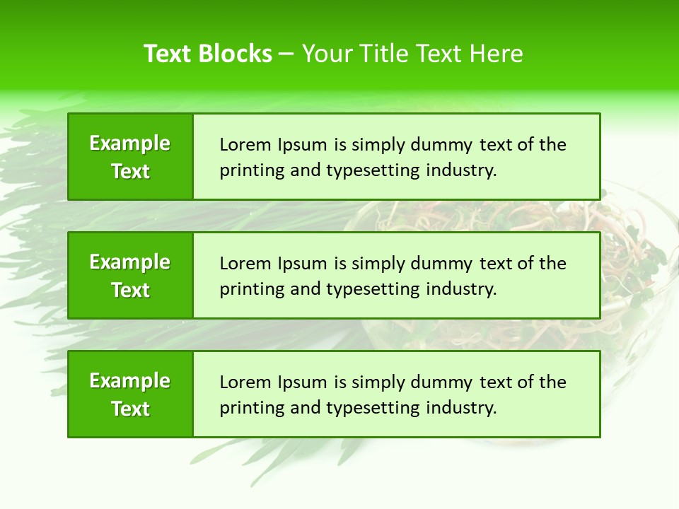 A Bowl Of Sprouts And A Bowl Of Sprouts On A White PowerPoint Template