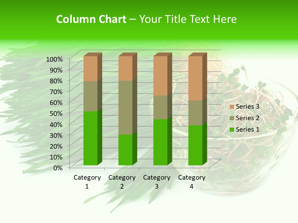 A Bowl Of Sprouts And A Bowl Of Sprouts On A White PowerPoint Template