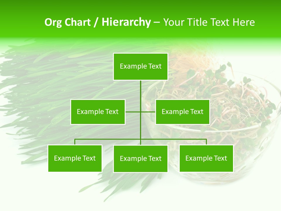 A Bowl Of Sprouts And A Bowl Of Sprouts On A White PowerPoint Template