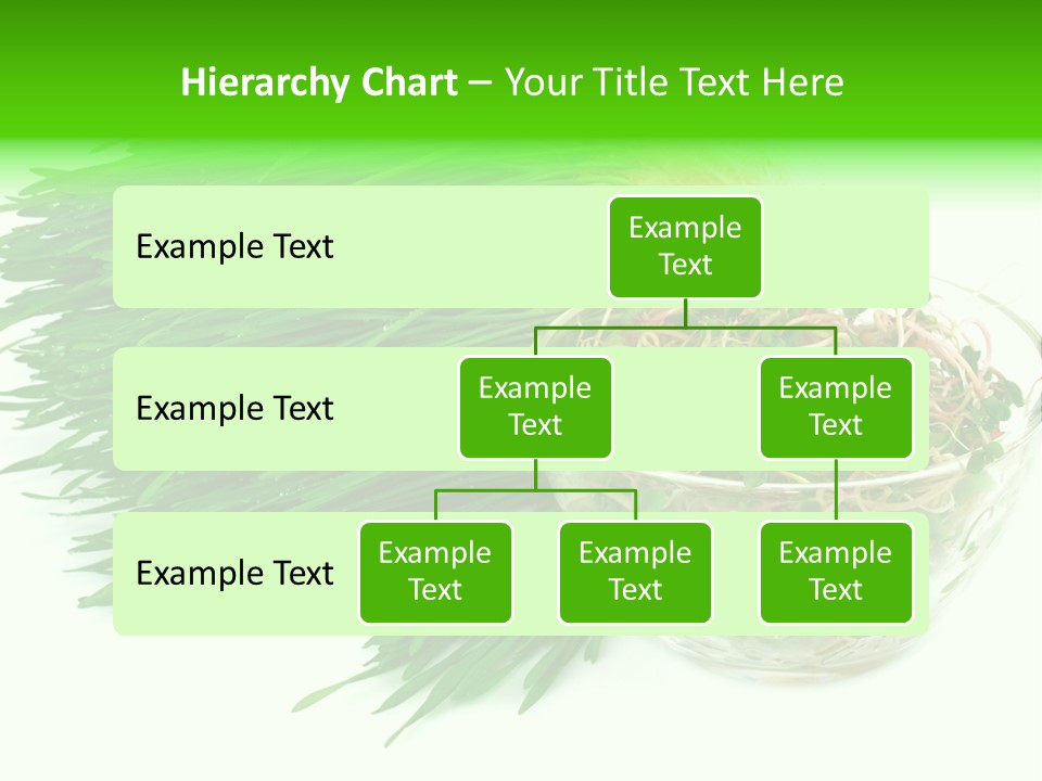 A Bowl Of Sprouts And A Bowl Of Sprouts On A White PowerPoint Template