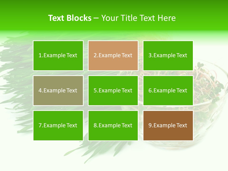 A Bowl Of Sprouts And A Bowl Of Sprouts On A White PowerPoint Template