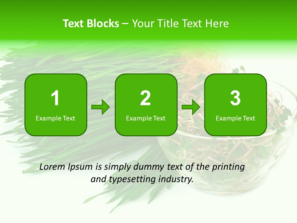 A Bowl Of Sprouts And A Bowl Of Sprouts On A White PowerPoint Template