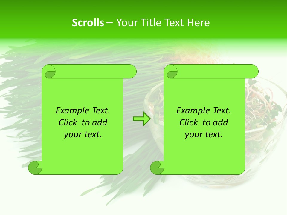 A Bowl Of Sprouts And A Bowl Of Sprouts On A White PowerPoint Template