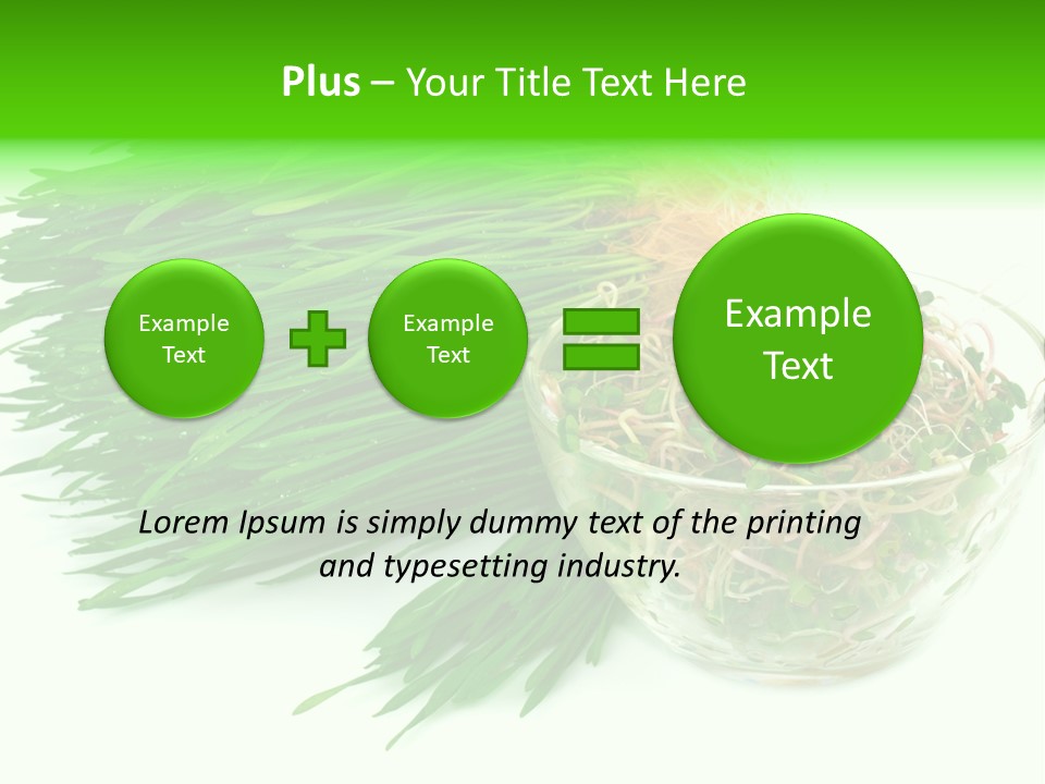 A Bowl Of Sprouts And A Bowl Of Sprouts On A White PowerPoint Template