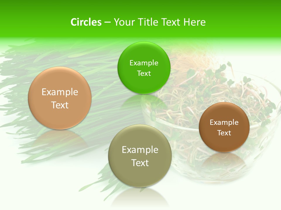 A Bowl Of Sprouts And A Bowl Of Sprouts On A White PowerPoint Template