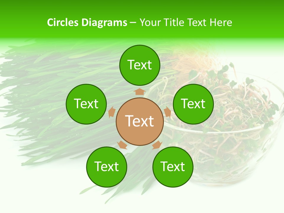 A Bowl Of Sprouts And A Bowl Of Sprouts On A White PowerPoint Template