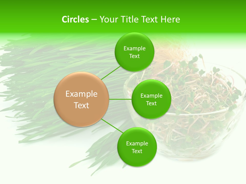 A Bowl Of Sprouts And A Bowl Of Sprouts On A White PowerPoint Template