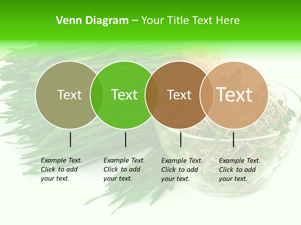 A Bowl Of Sprouts And A Bowl Of Sprouts On A White PowerPoint Template